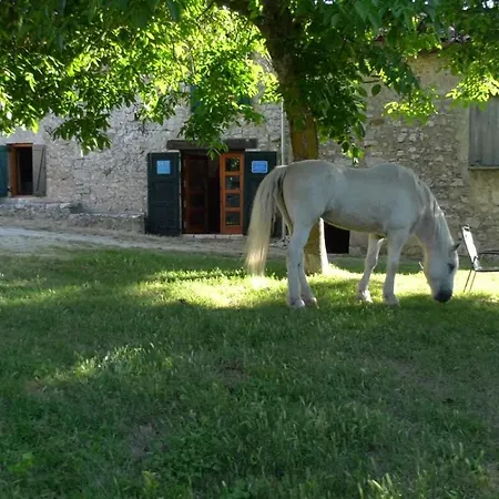 Casaturzo
