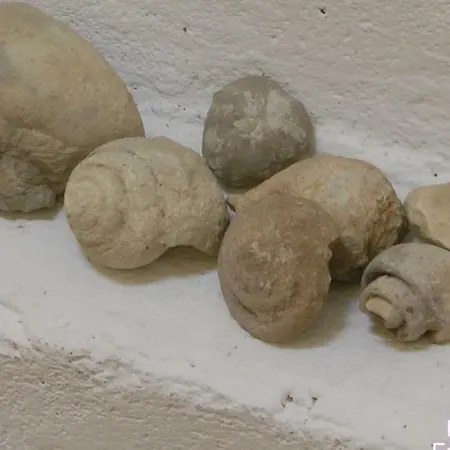 Casaturzo Ferienhaus Turzo