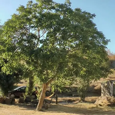 Casaturzo Holiday home *