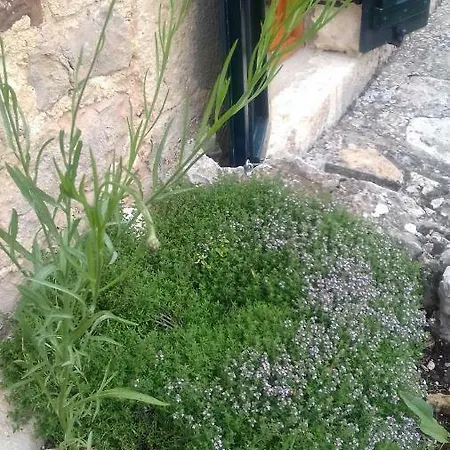 Casaturzo Ferienhaus Turzo