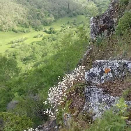 Casaturzo