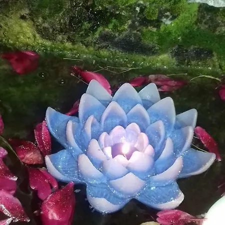 Casaturzo Ferienhaus *